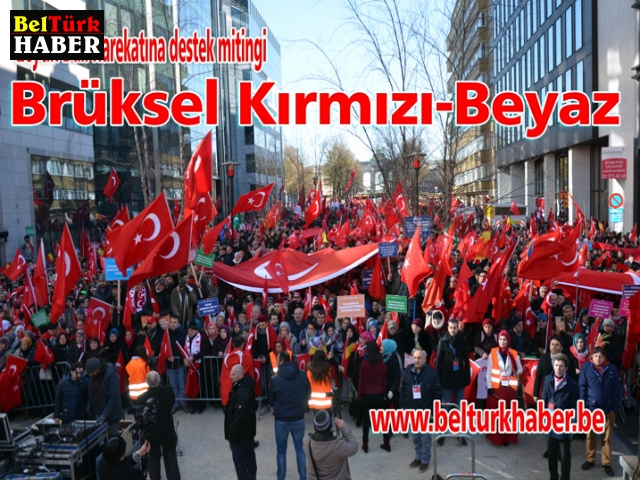 Brüksel Kırmızı-Beyaz