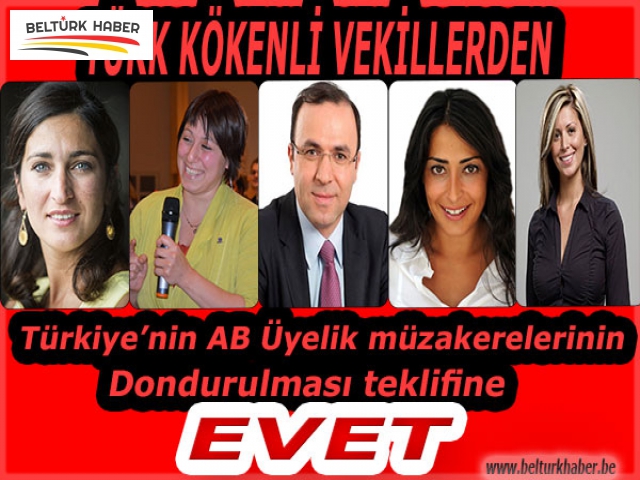 TÜRK KÖKENLİ VEKİLLERDEN TÜRKİYE ALEYHİNE 'EVET'