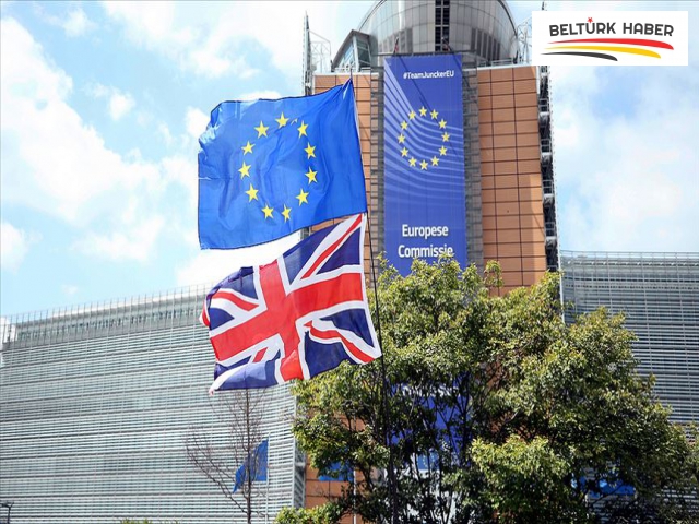 AB'de 2019'a Brexit ve AP seçimleri damga vurdu