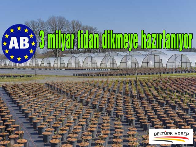 AB, 3 milyar fidan dikmeye hazırlanıyor