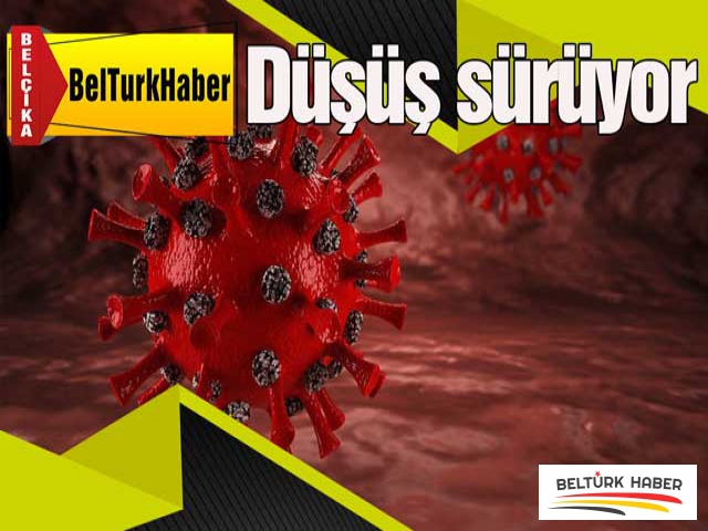 Belçika'da düşüş sürüyor