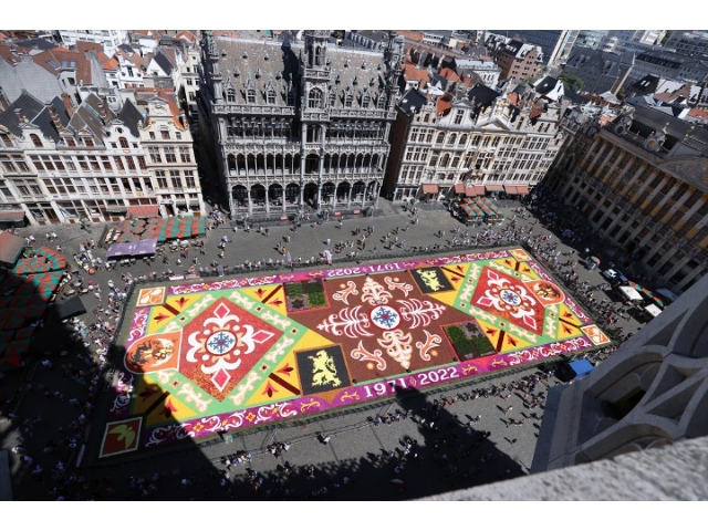 Belçika'nın çiçek halısı, yeniden döşendi