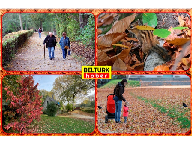 Belçika’da sonbahar