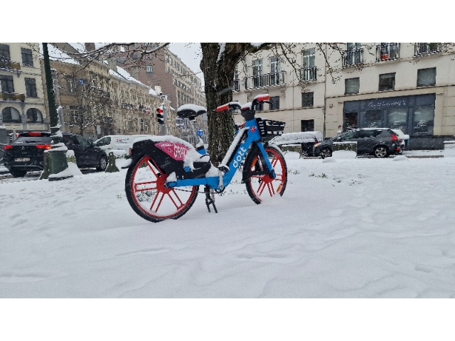 Belçika’da kar yağışı hayatı olumsuz etkiledi
