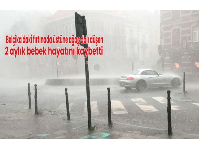 Belçika'daki fırtınada üstüne ağaç dalı düşen 2 aylık bebek hayatını kaybetti