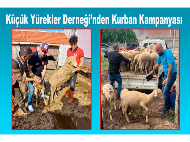 Küçük Yürekler Derneği’nden Kurban Kampanyası