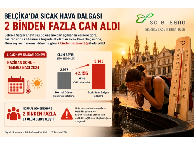 Belçika, sıcak hava dalgasının yol açtığı ölümlerin 2 bini aştığını bildirdi