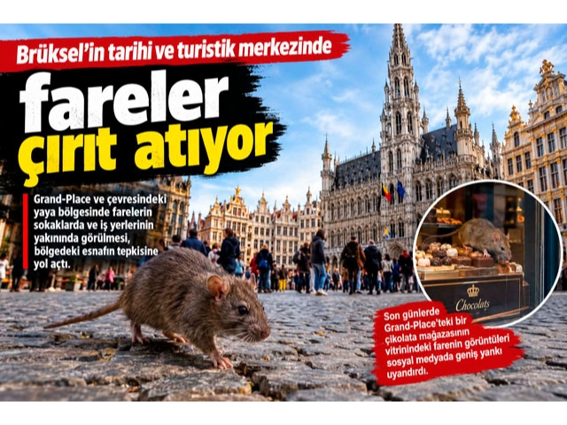 Brüksel'de Fareler Cirit Atıyor