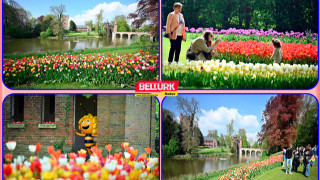 "Floralia Brussels" 2 Mayıs’a Kadar Ziyarete Açık