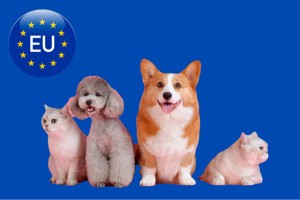 AB kedi ve köpeklerin refahına ilişkin ortak kurallar getiriyor