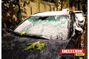 Brüksel, Güne Karla Merhaba Dedi