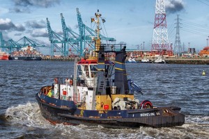 Anvers Limanı'nda uyuşturucu taramalarında 320 çalışan görevden alındı