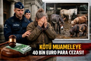 Belçika'da hayvanlara kötü muamele eden kişiye 40 bin avro ceza kesildi