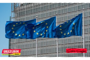 AB liderlerinden Belçika'da gayri resmi zirve