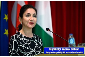 Türkiye, Avrupa rekabet stratejisinin parçası olarak görülmeli