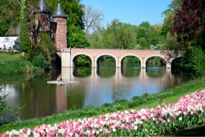 Floralia Brussels ziyaretçilerini ağırlamaya devam ediyor