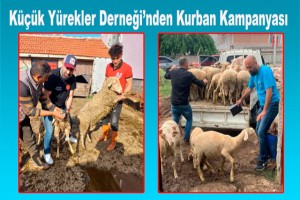 Küçük Yürekler Derneği’nden Kurban Kampanyası