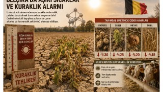 Kuraklık Belçika'da tarımsal üretimi vurdu
