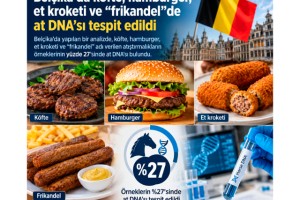 Belçika'da At eti Sakandalı